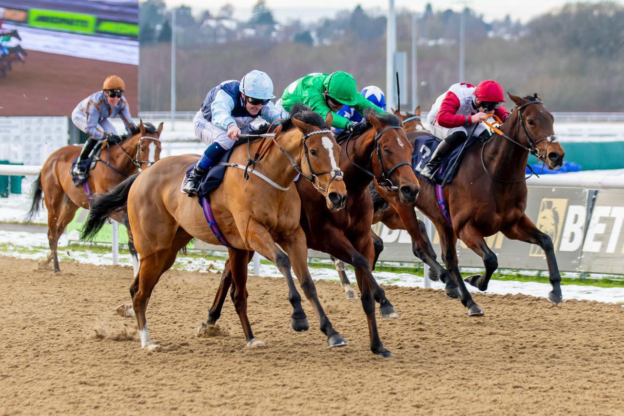 Bethell - 🥇 FIRST WINNER OF 2026🥇 My Champion is our first winner in ...