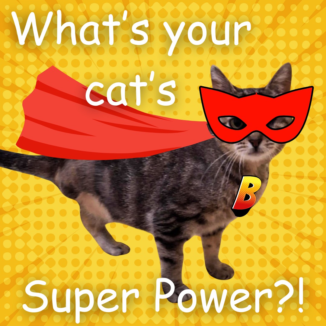 Oficjalna strona kasyna super cat rejestracja online krok po kroku