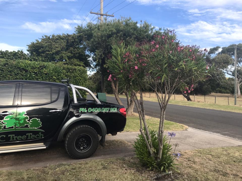 SNC TreeTech - 🌳 Tree of the Week 🌳 Nerium Oleander...