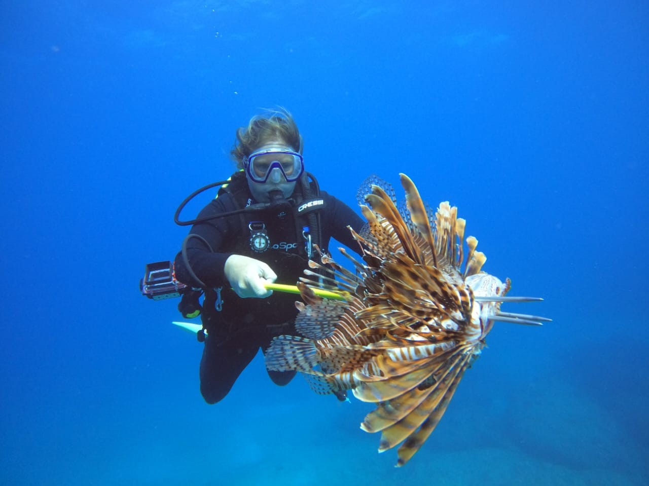 This week's Reef Ranger Spotlight... - FWC Reef Rangers | Facebook