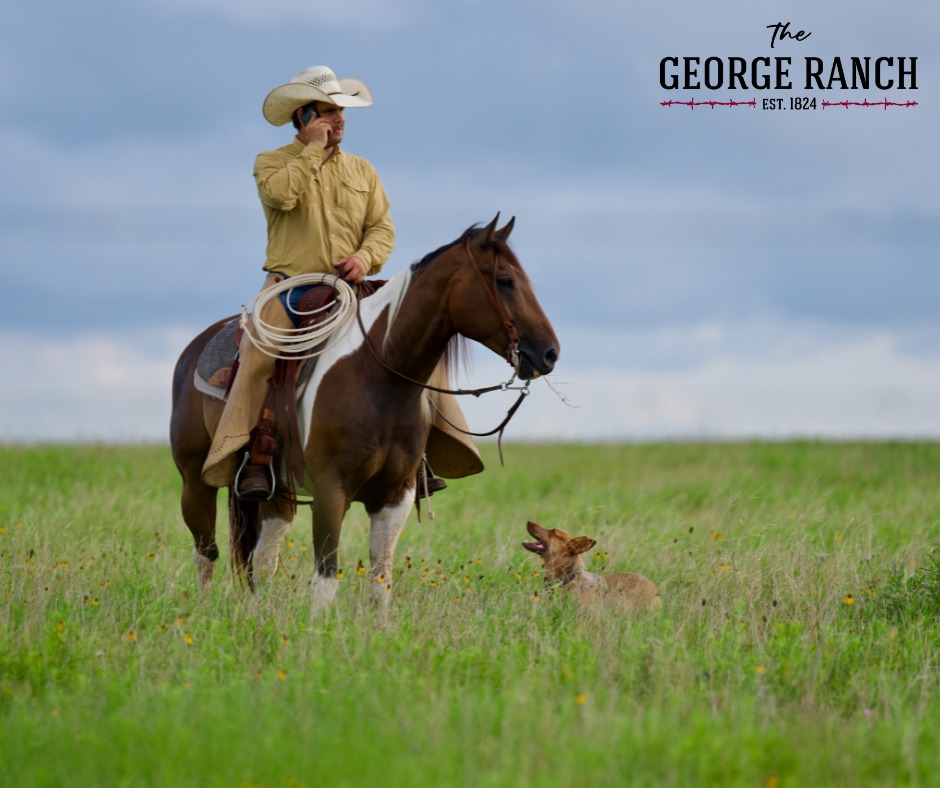 The George Ranch | Richmond TX
