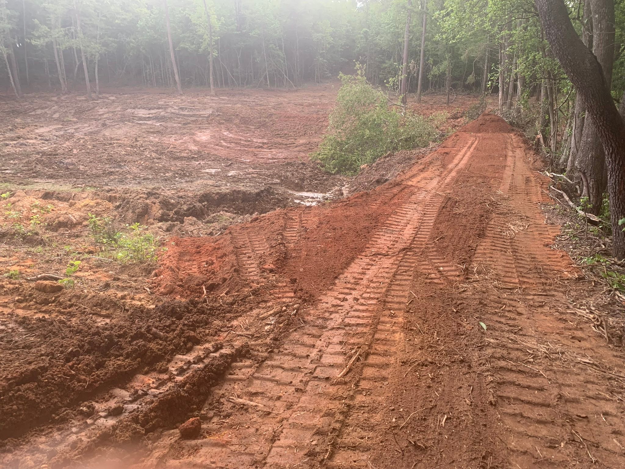 Milner Forestry Mulching and Debris Removal | Barnesville GA