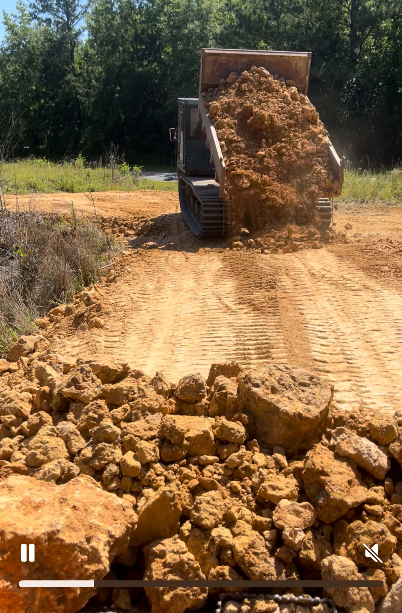 Milner Forestry Mulching and Debris Removal | Barnesville GA