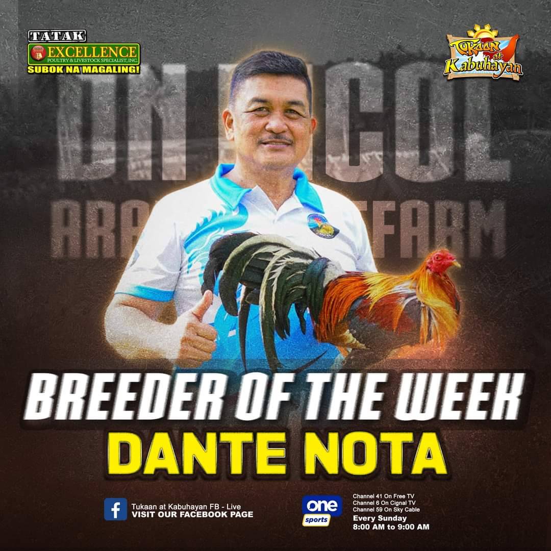 Tatak Excellence - Matuto mula sa tinitingalang breeder! Alamin ang ...