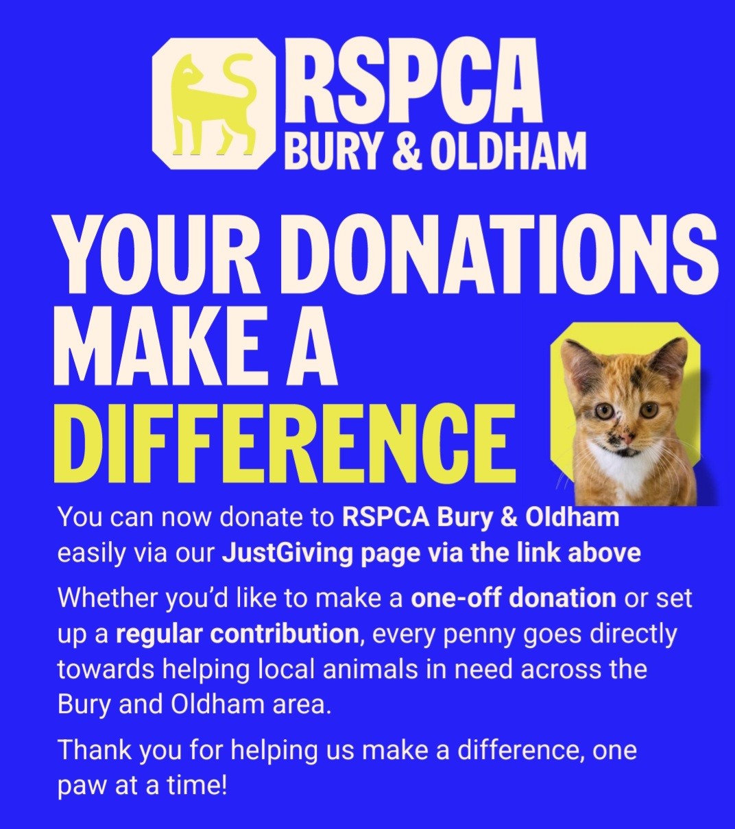 Bury & Radcliffe - RSPCA Charity Shop | Bury