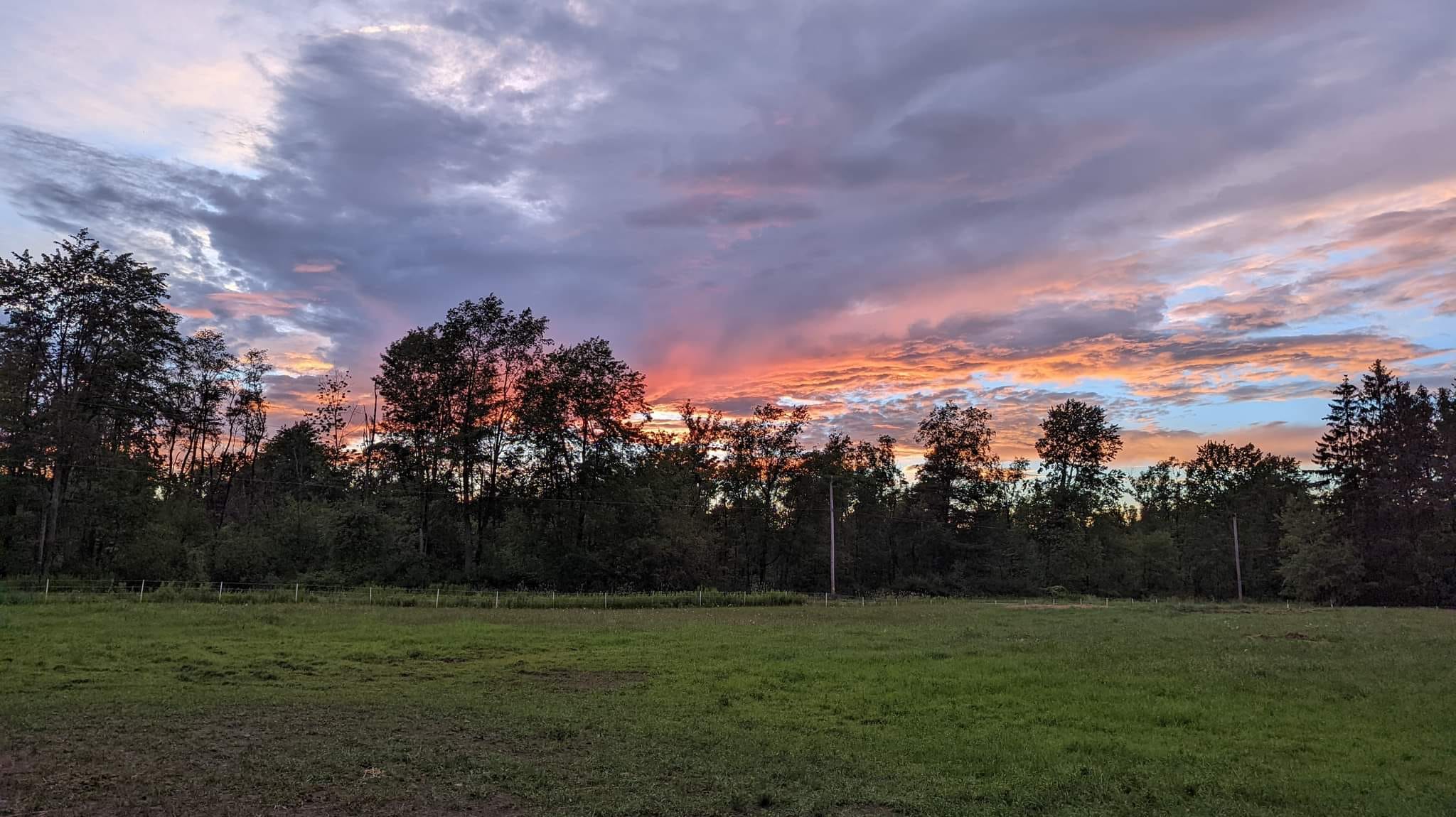 Red Roan Ranch | Bliss NY