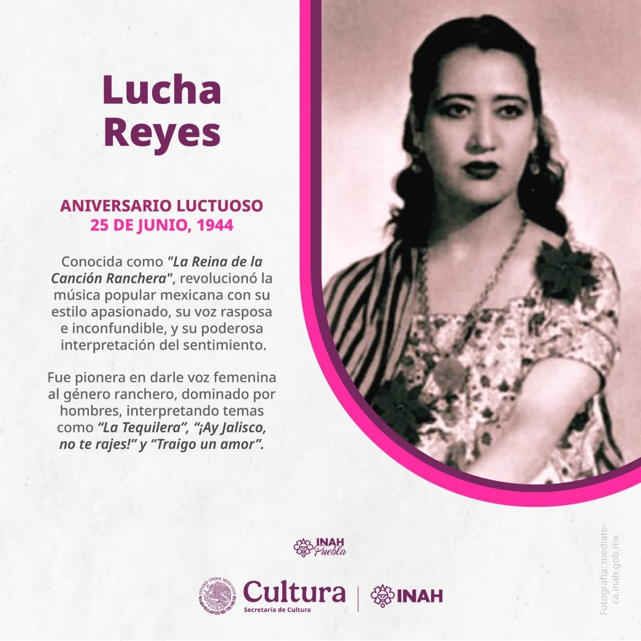 Red de Creadores Indígenas Veracruzanos