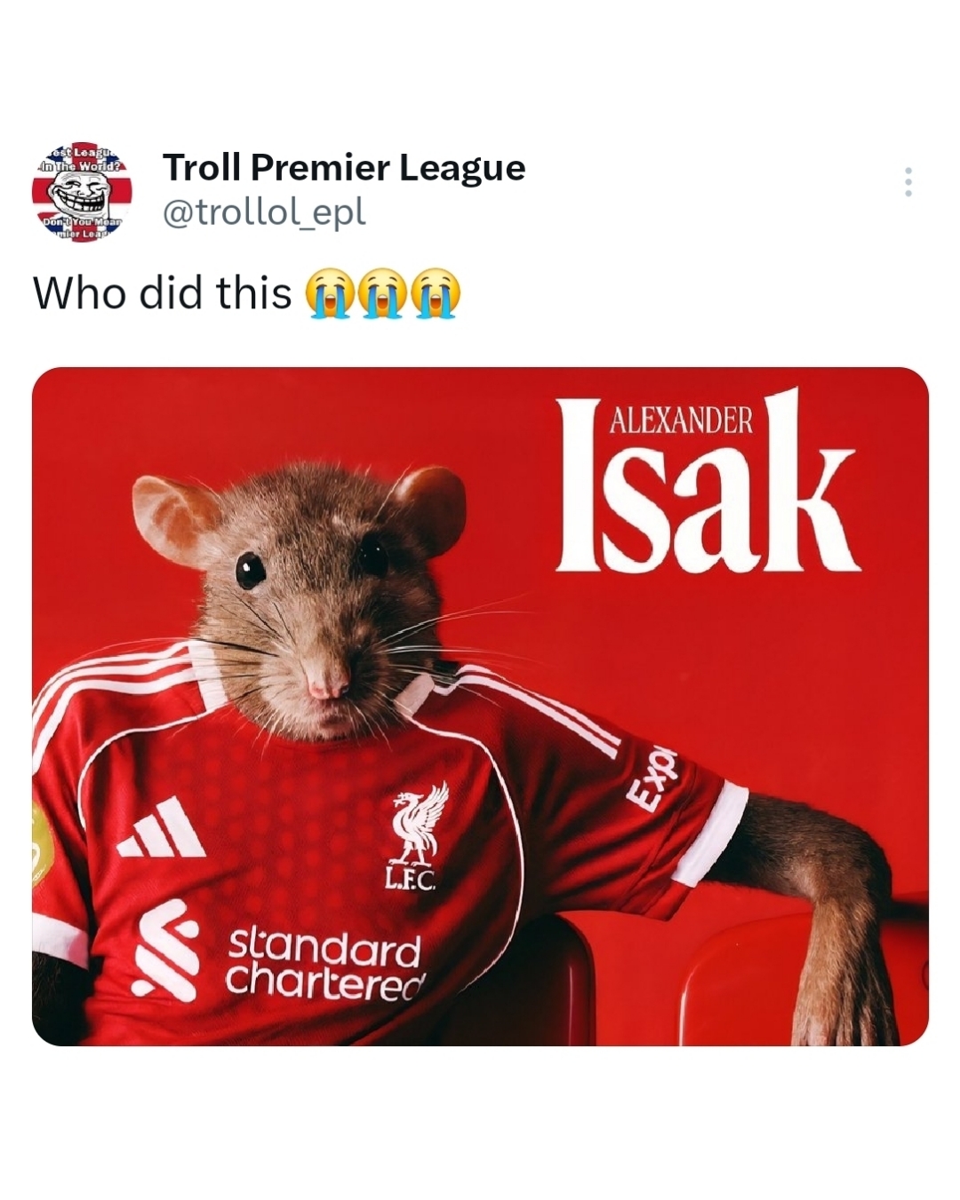 Troll Premier League added a new photo. - Troll Premier League