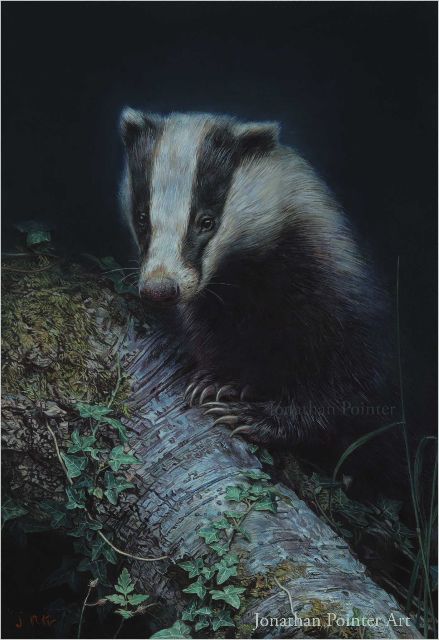 Jonathan Pointer Art