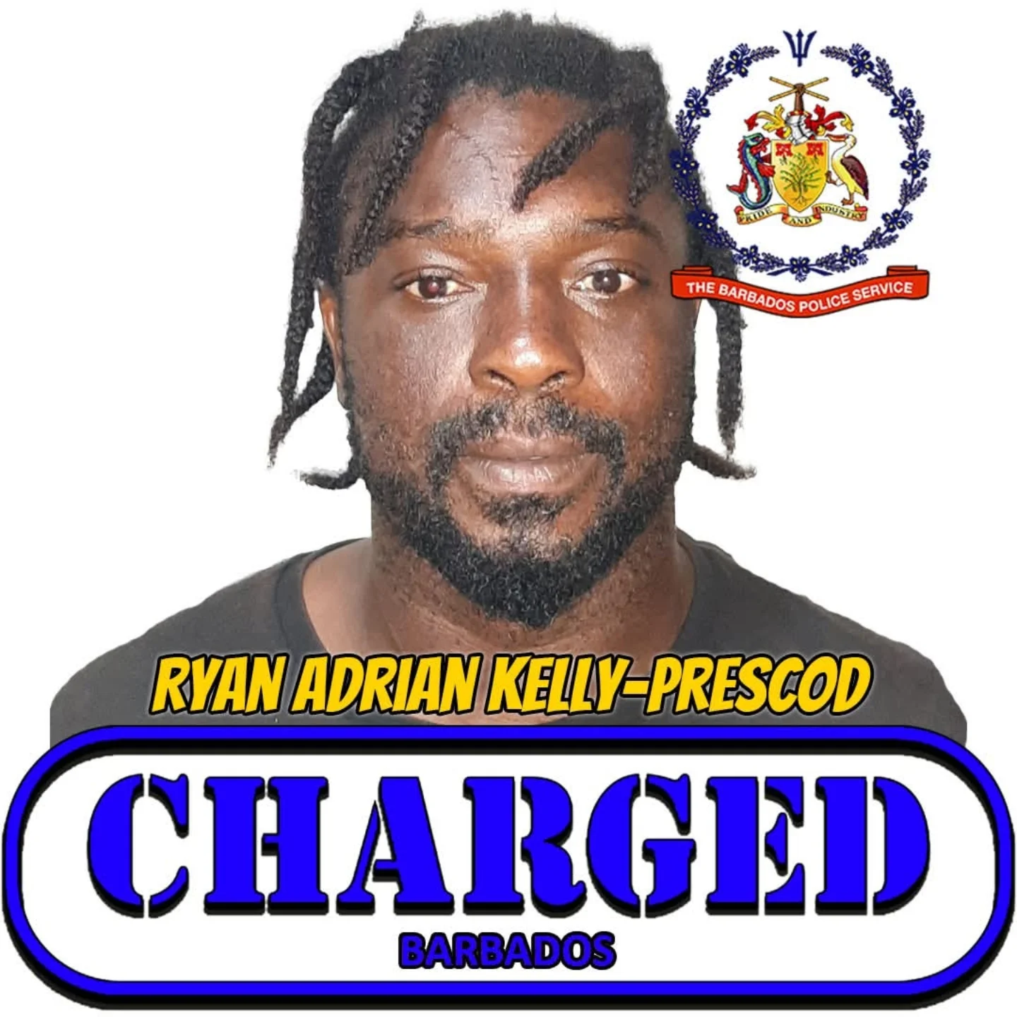 246 Bajan Reporter Network