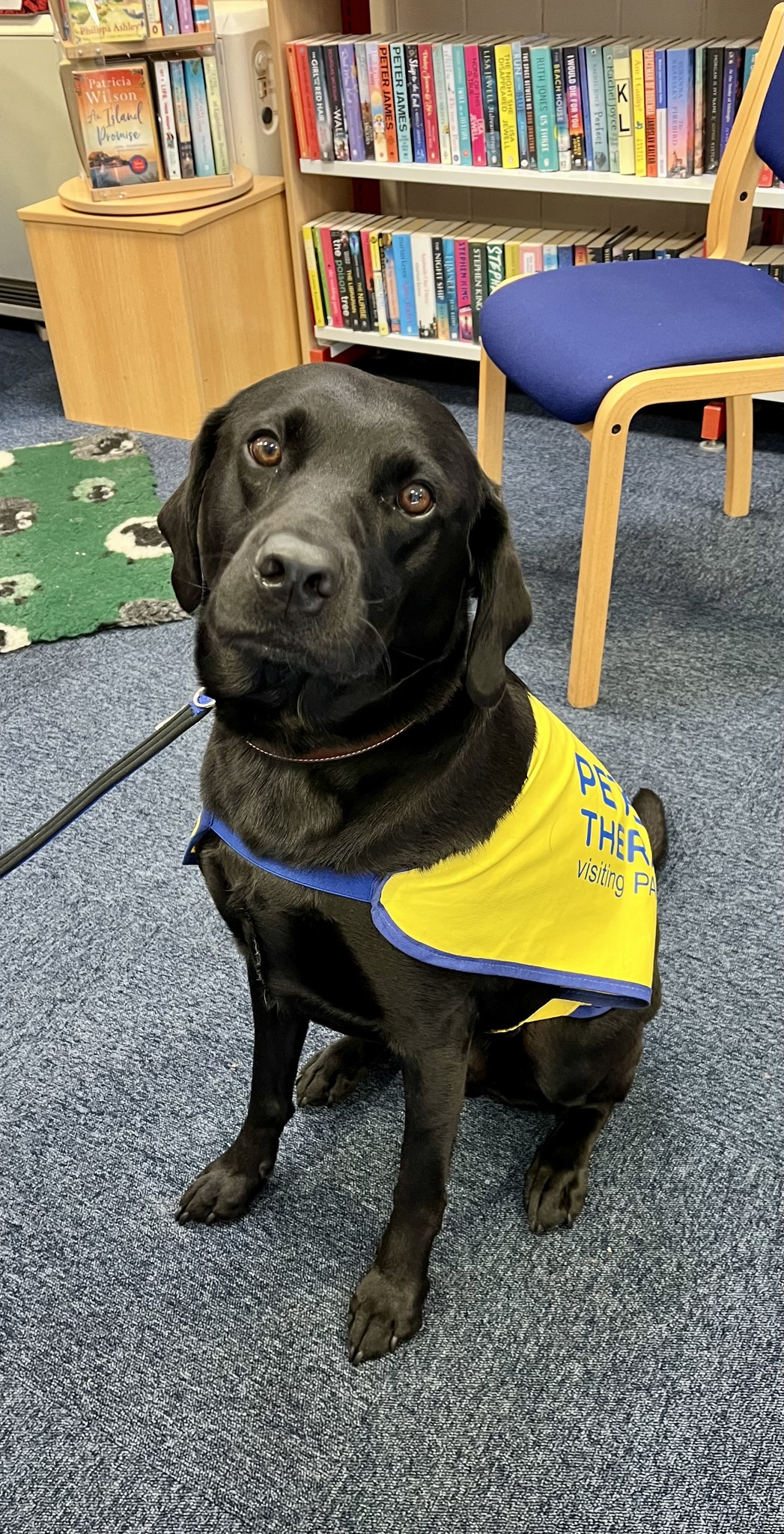 Meet our Pets As Therapy... - Blofield & Brundall Libraries | Facebook