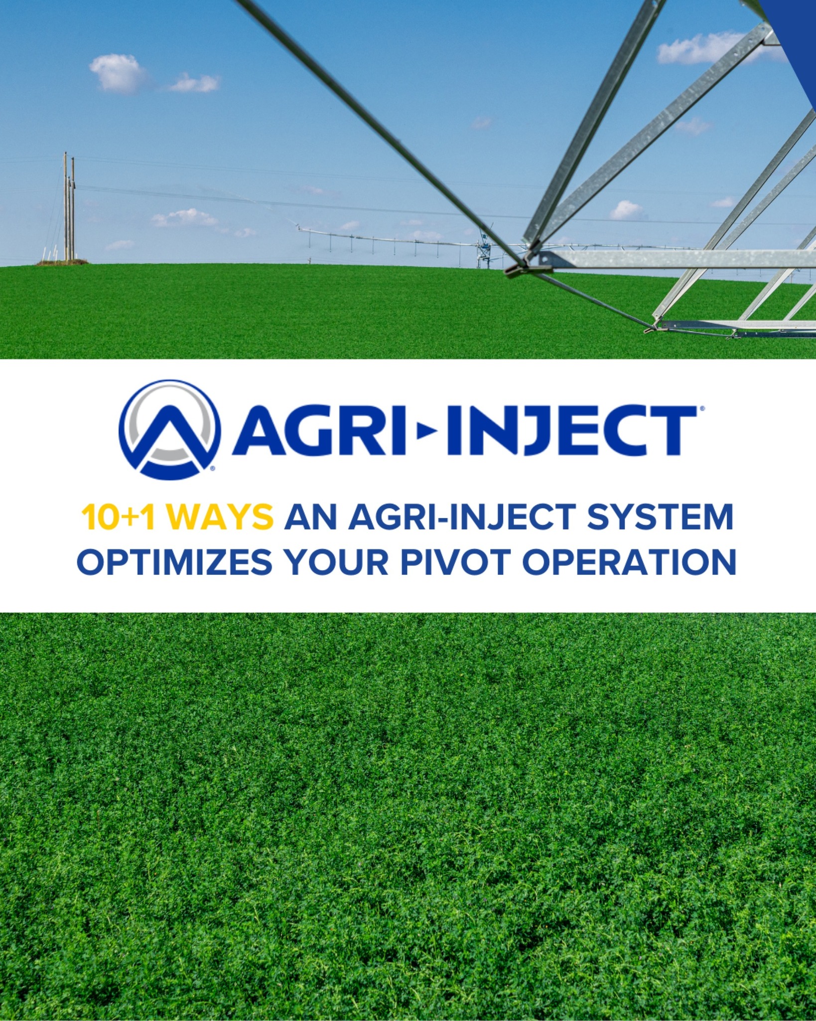 Agri-Inject, Inc | Yuma CO