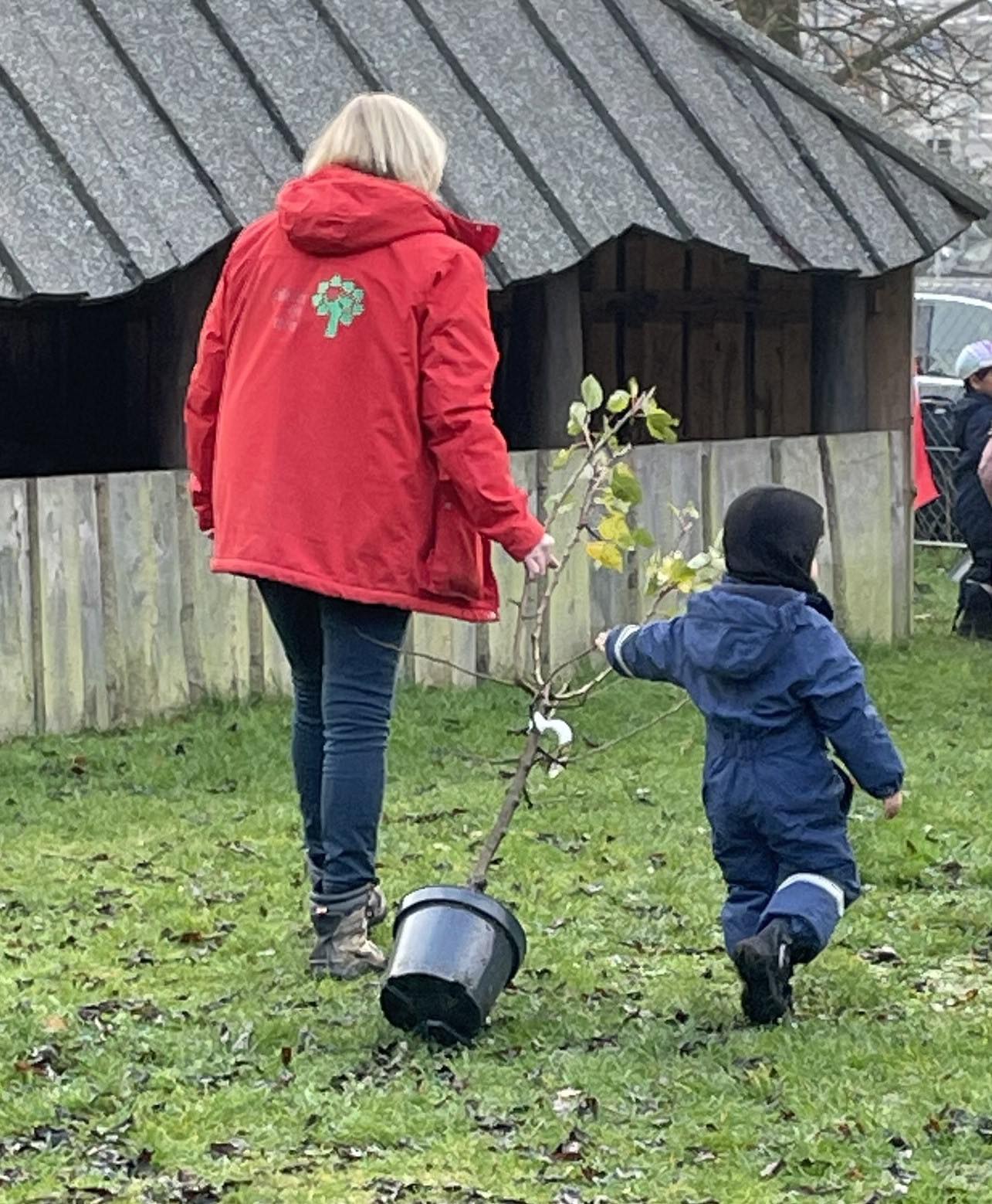 Plant et Træ | Højbjerg