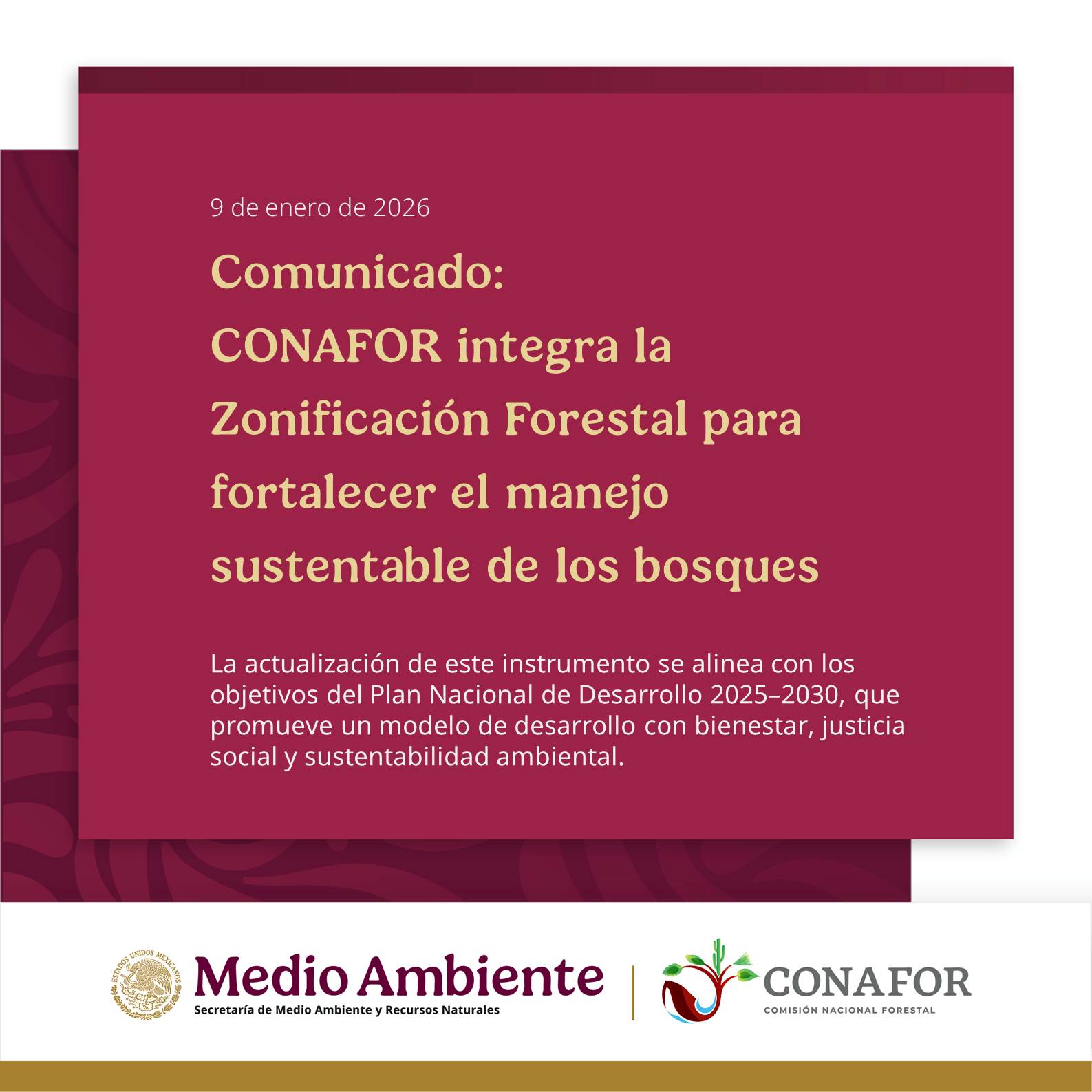 La CONAFOR publicó en el DOF... - Comisión Nacional Forestal | Facebook