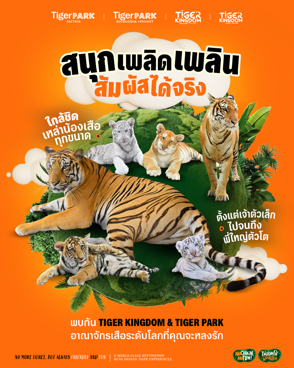 Tiger - สนุก เพลิดเพลิน สัมผัสได้จริง 🐾🐯 ใกล้ชิดกับน้องเสือทุกขนาด ...
