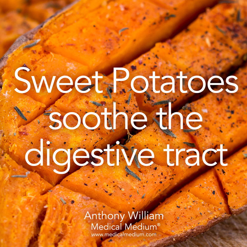 View of Medical - Sweet Potatoes soothe the digestive tract https://amzn.to ...