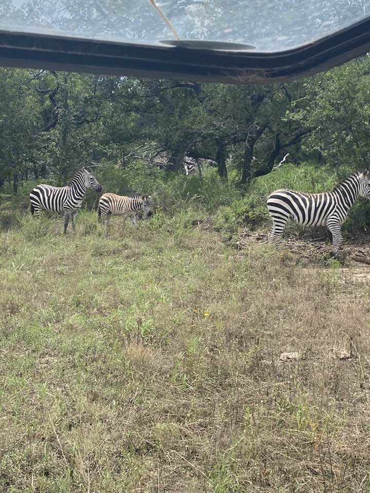 The Friday Ranch | Uvalde TX