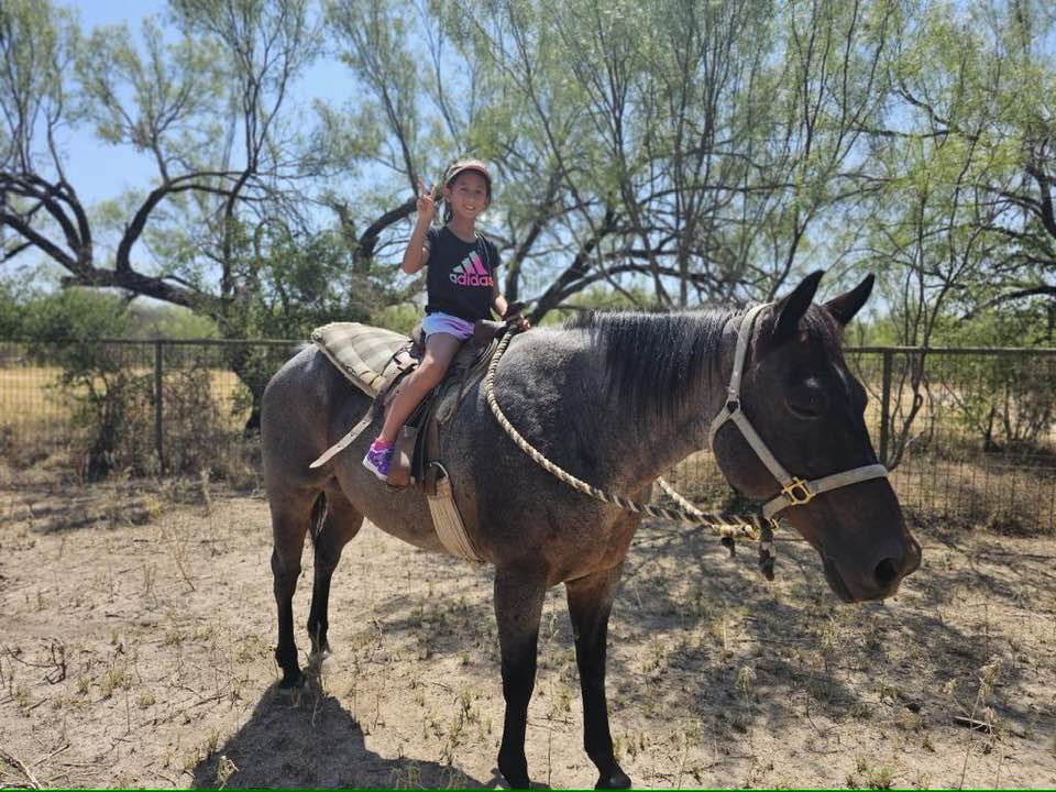 The Friday Ranch | Uvalde TX