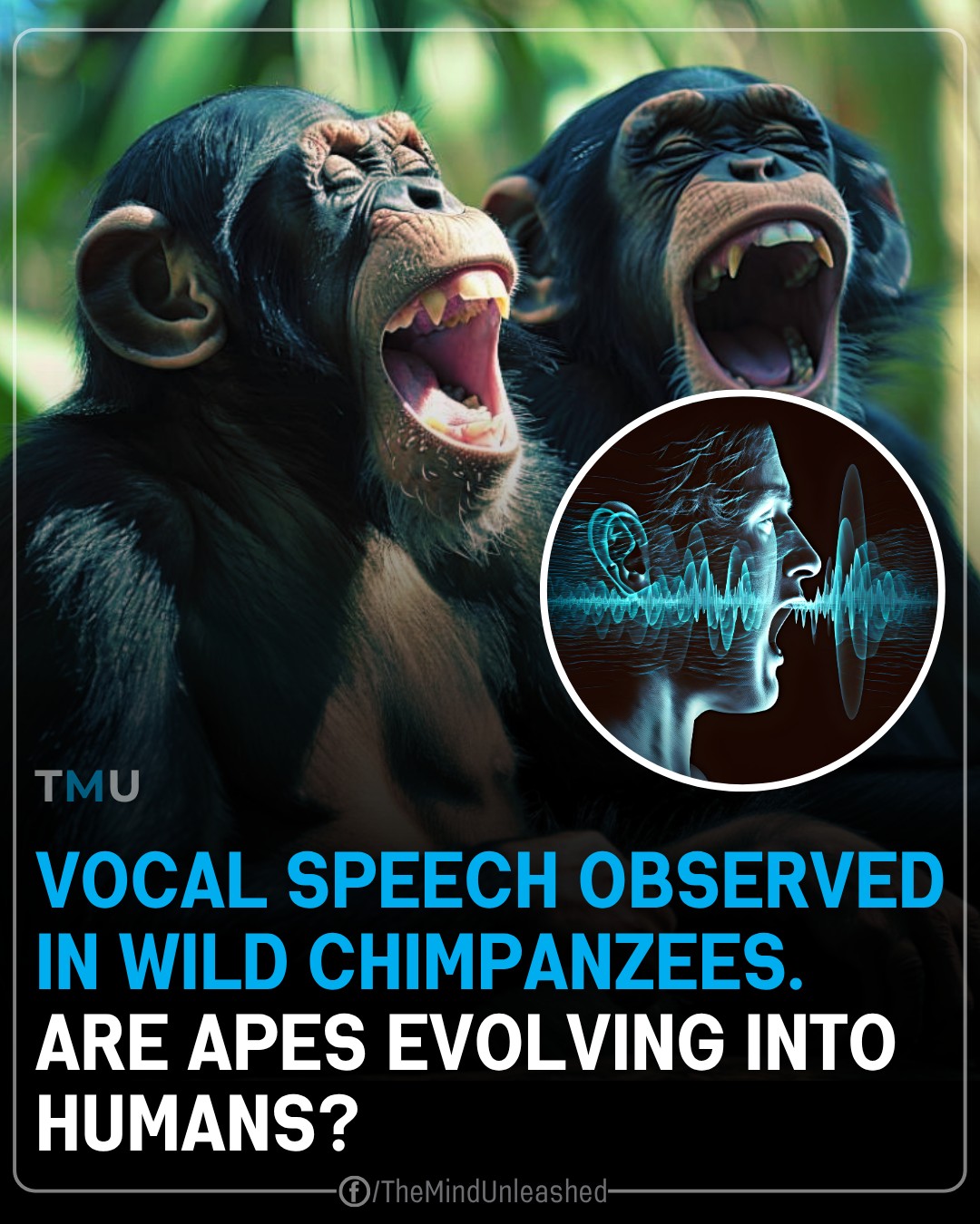 The Mind - Our primate relatives are vocalizing in ways that echo the ...