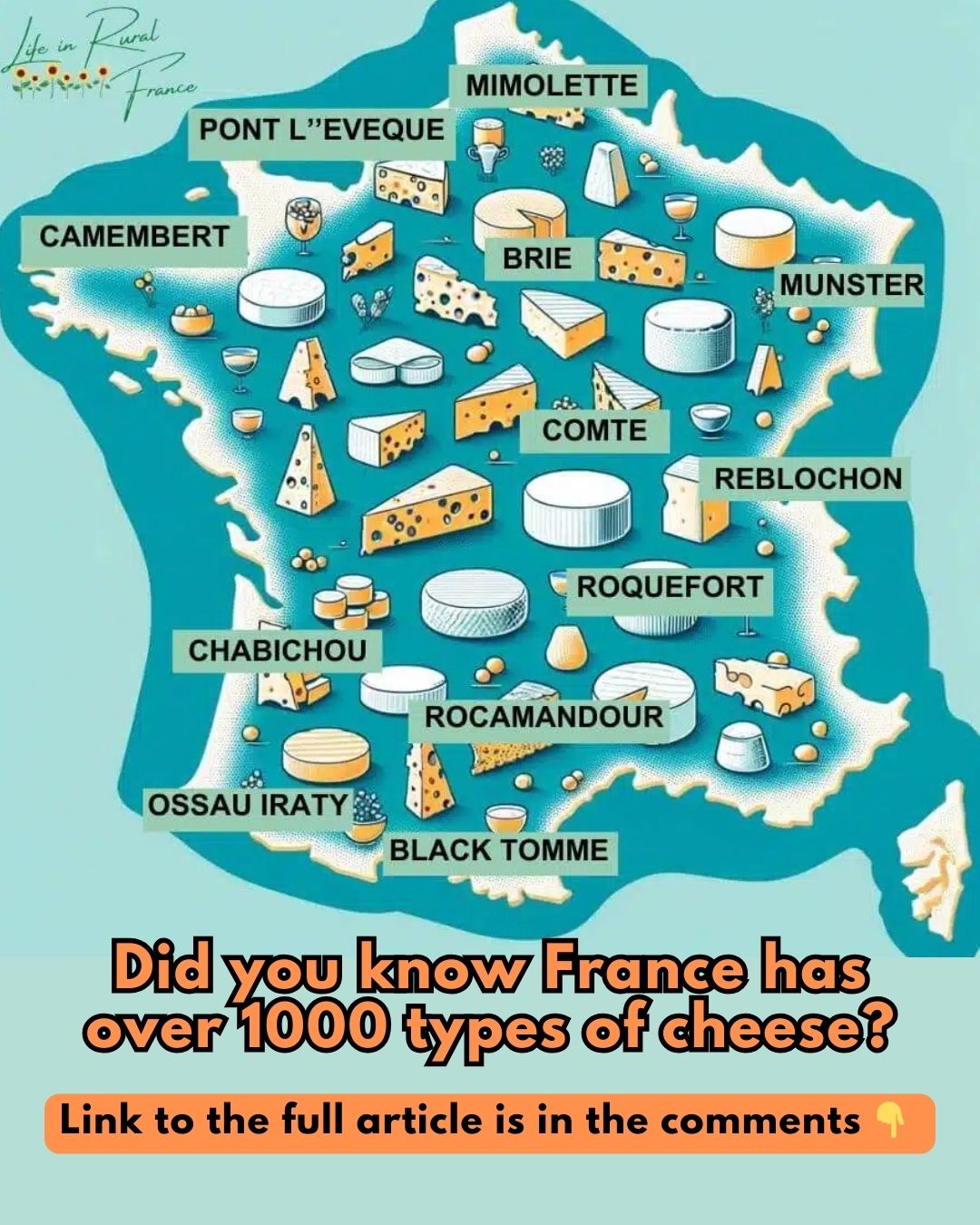Life - Soft, hard, creamy, or aged—French cheese is an art. 🧀 Discover ...