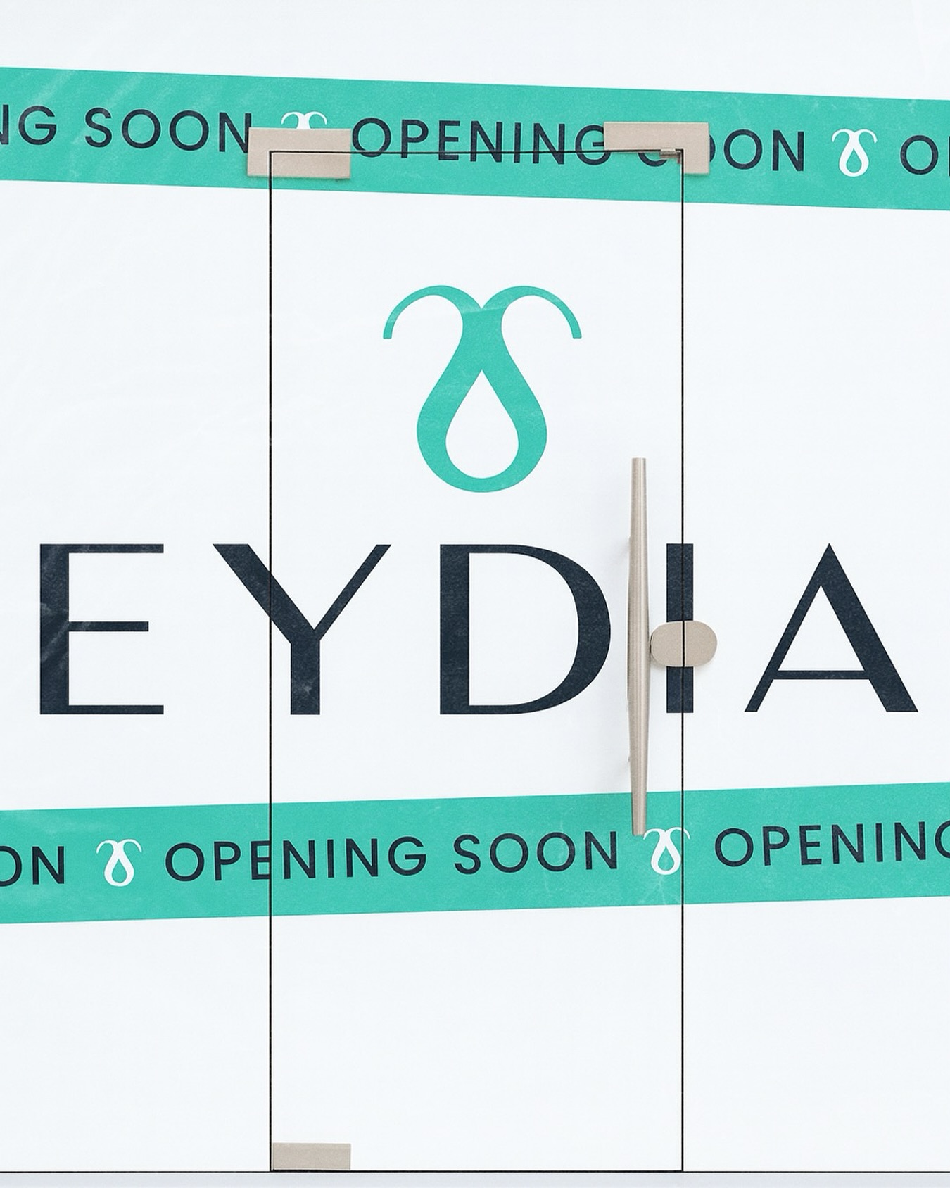 Eydia - A whole new chapter loading 🚛💫 .. EYDIA is opening... | Facebook