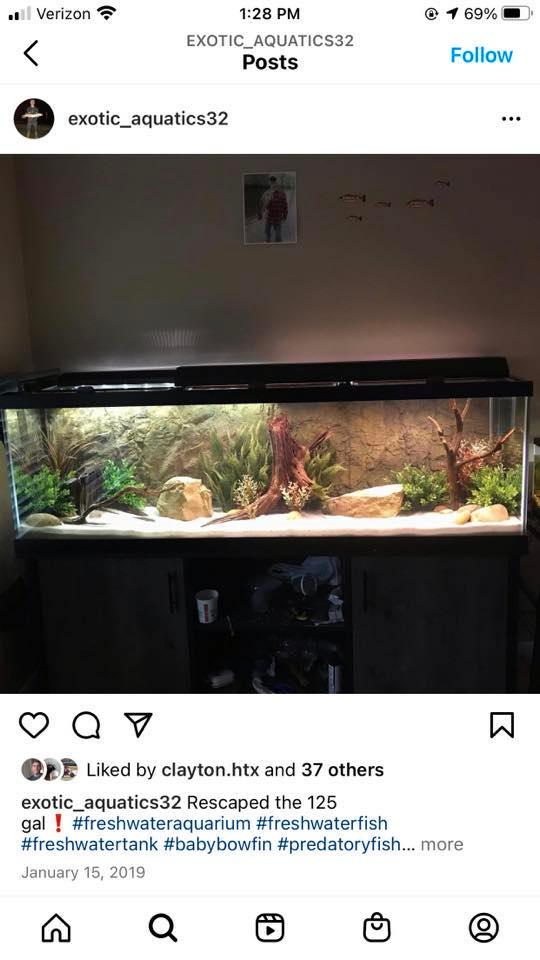 houston-fish-reptile-and-pet-group-trade-sell-species-identify