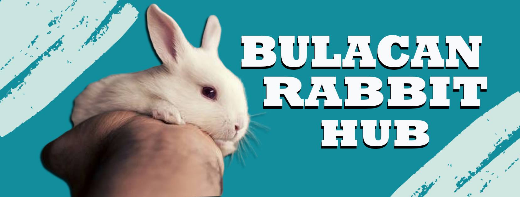 BULACAN RABBIT HUB | Facebook