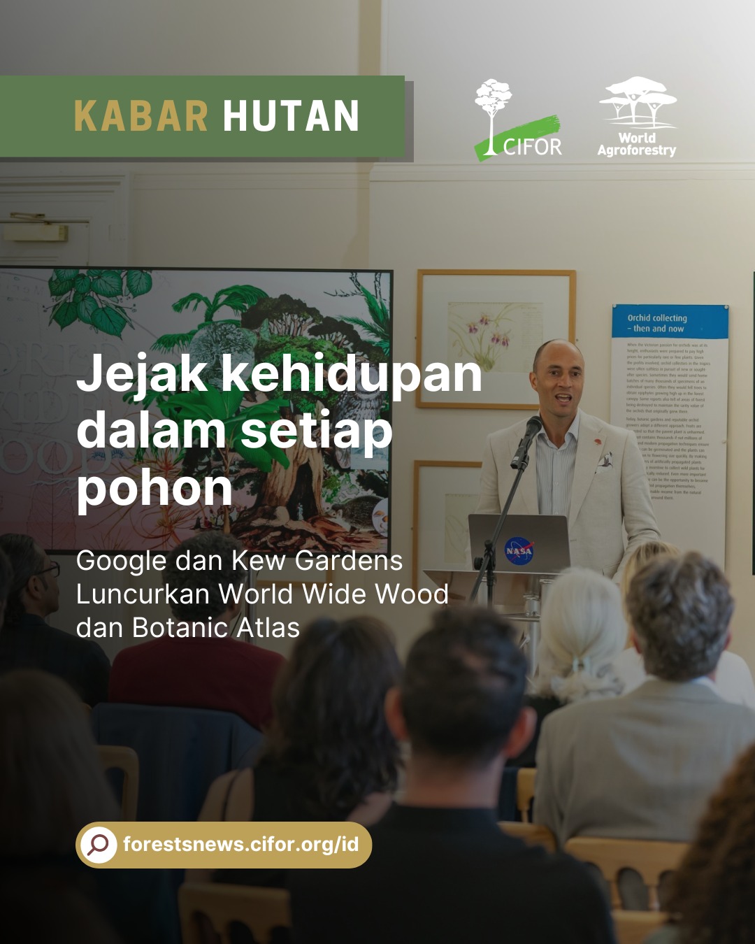 CIFOR - World Wide Wood, sebuah inisiatif global hasil kolaborasi ...