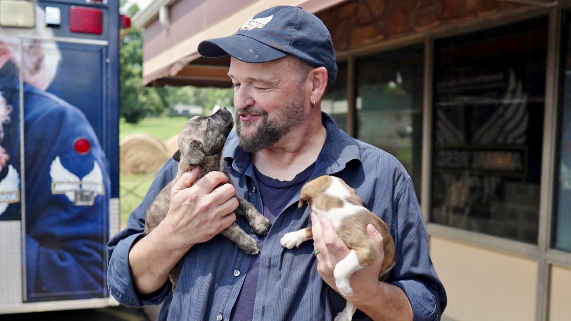 WSVN-TV - Animal Rescue Corps, co-founded by Tim Woodward in 2011, has ...