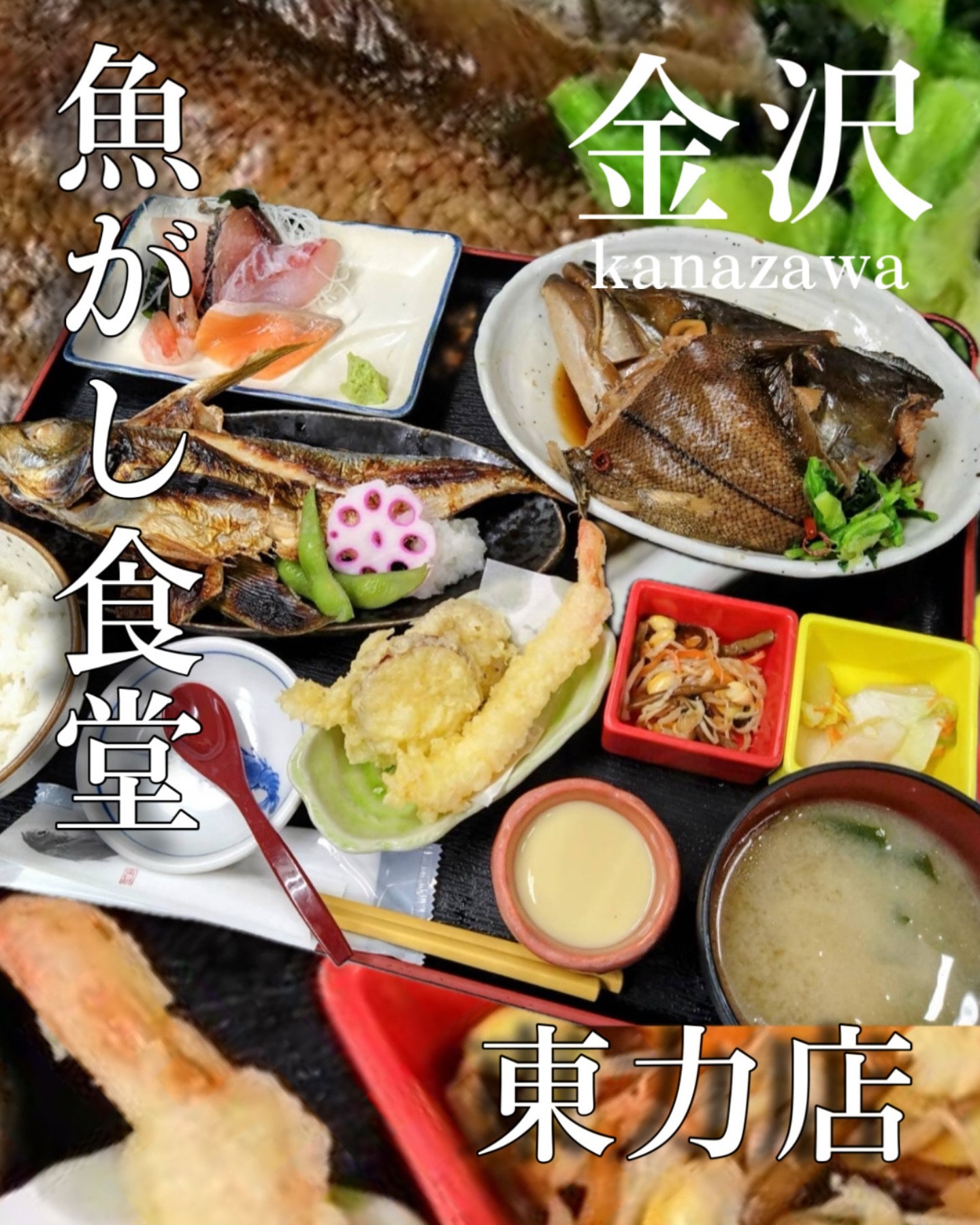 魚がし 食堂 東 力 店