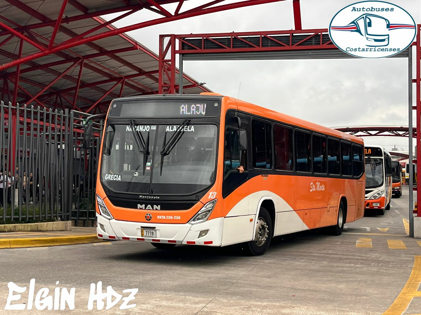 Autobuses Costarricenses - Transportes Carrizal s.a (1236) Maxibus ...