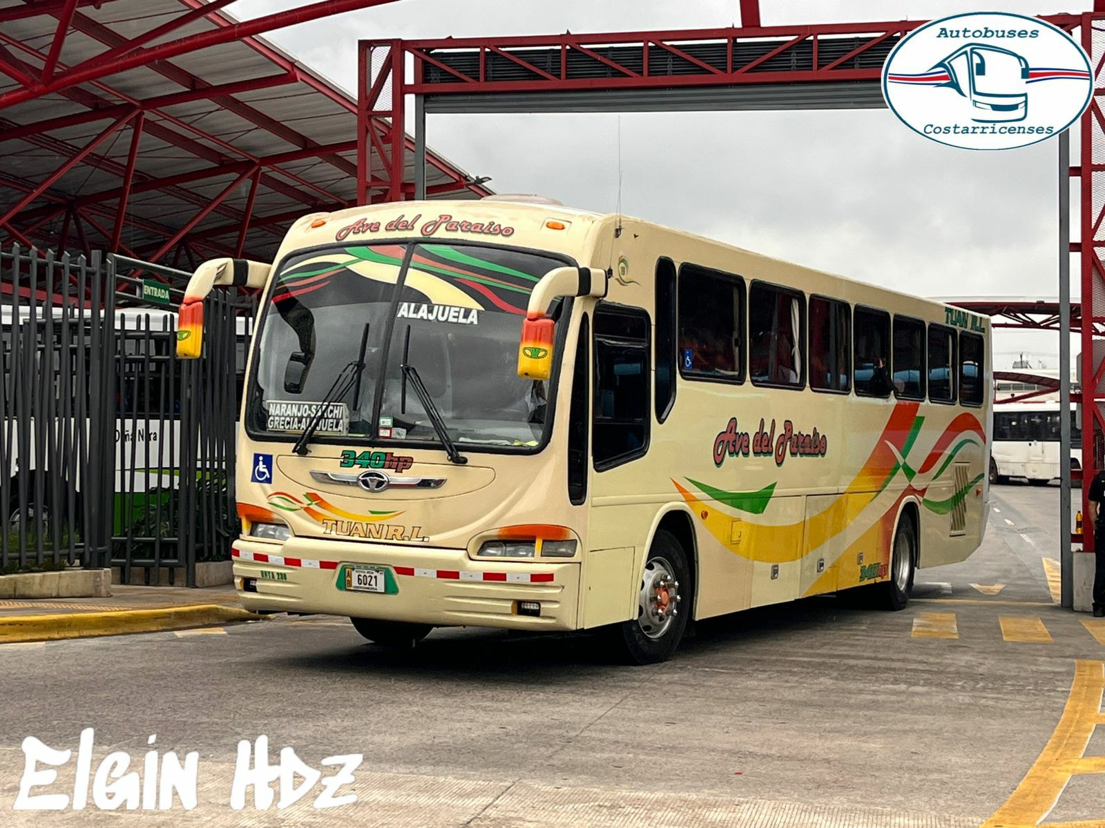 Autobuses Costarricenses - Transportes Carrizal s.a (1236) Maxibus ...