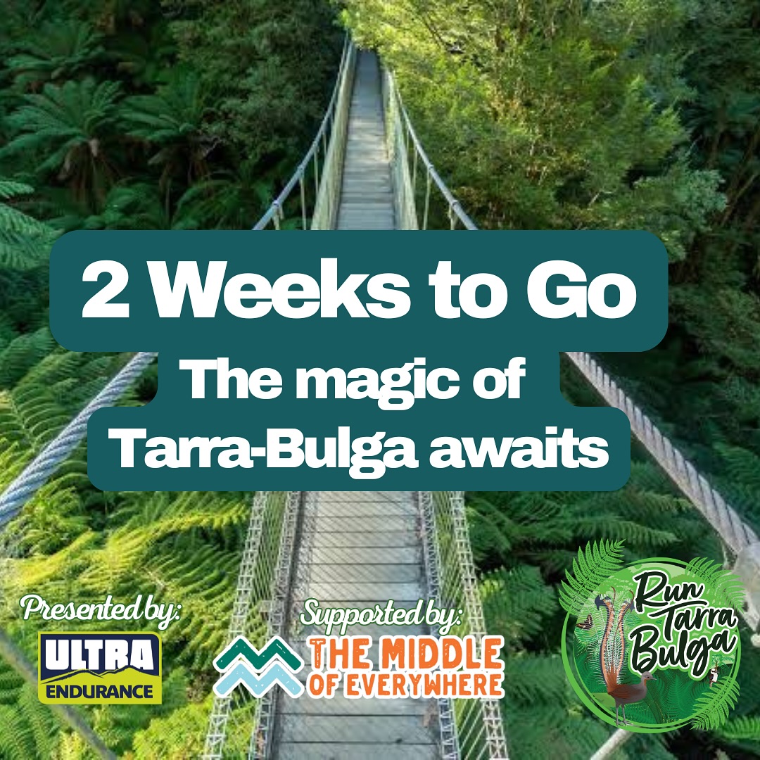 Run Tarra-Bulga | Balook VIC