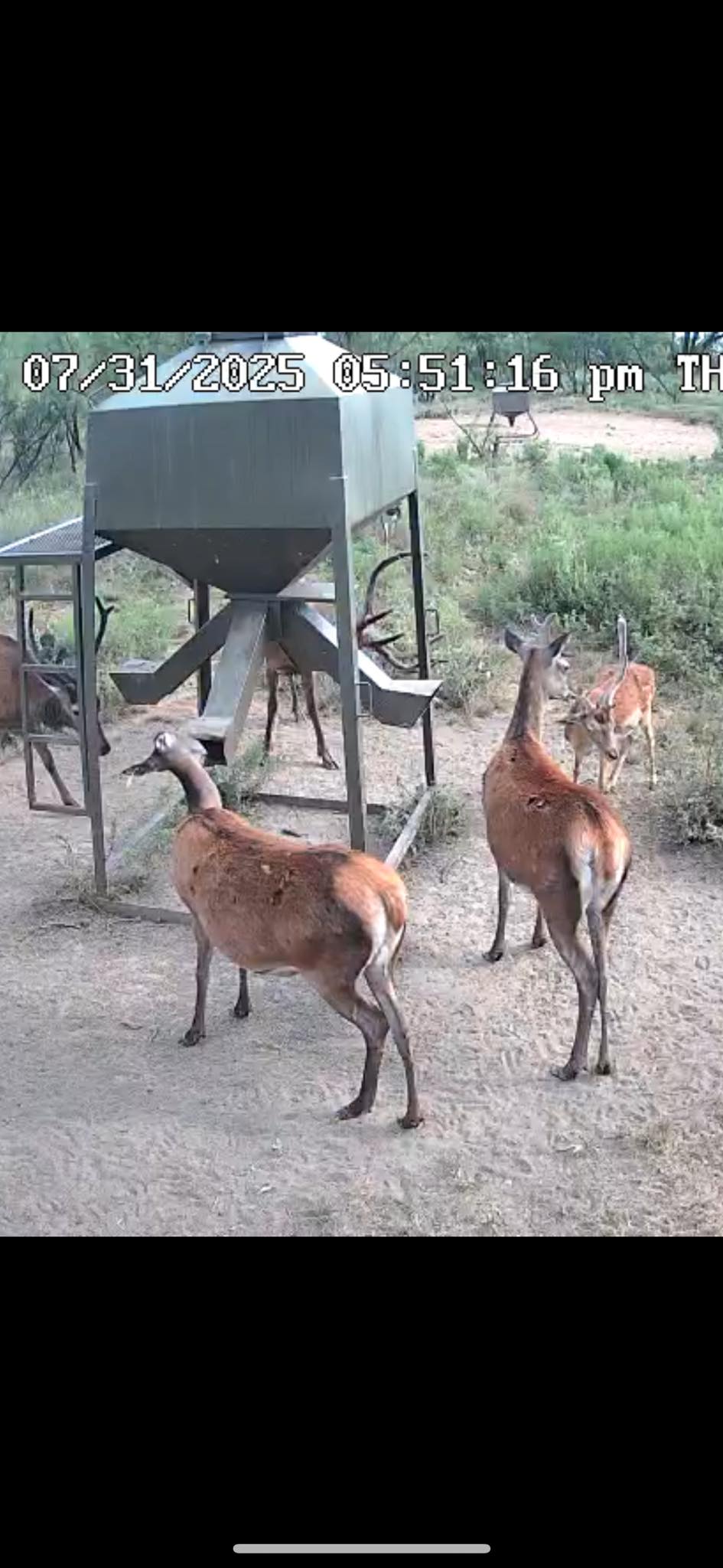 S4 Hunting Ranch