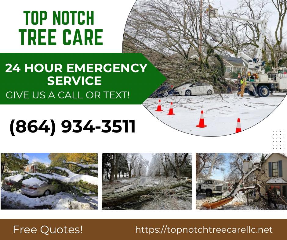 Top Notch Tree Care LLC | Belton SC