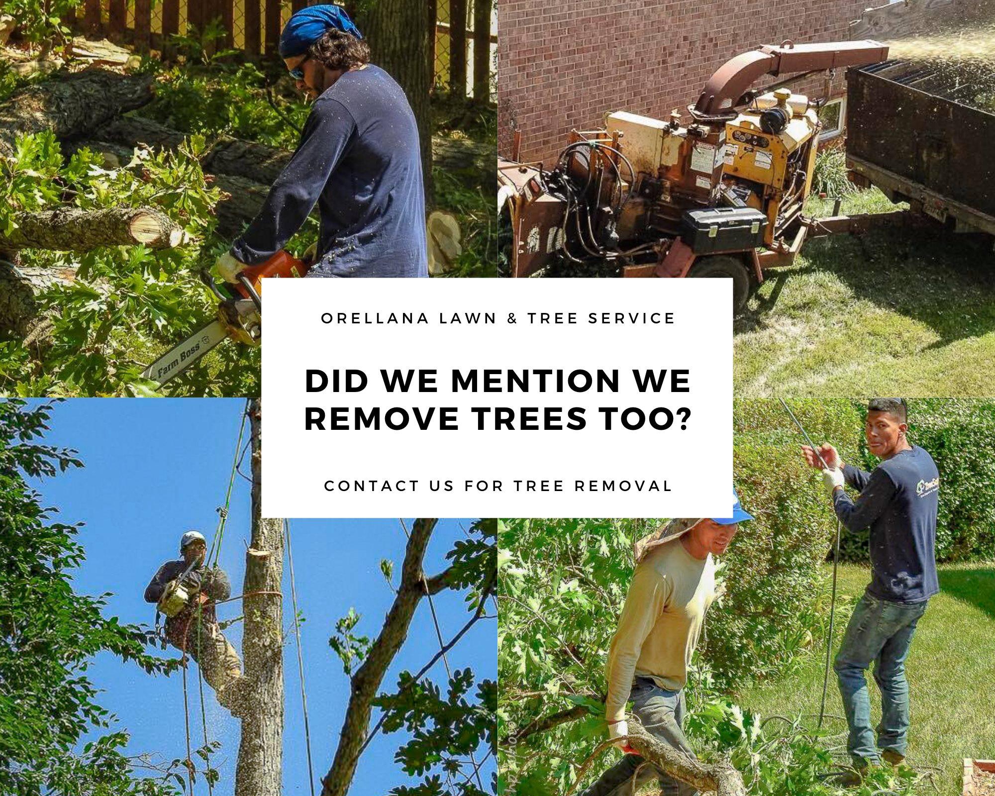 Orellana Lawn & Tree service