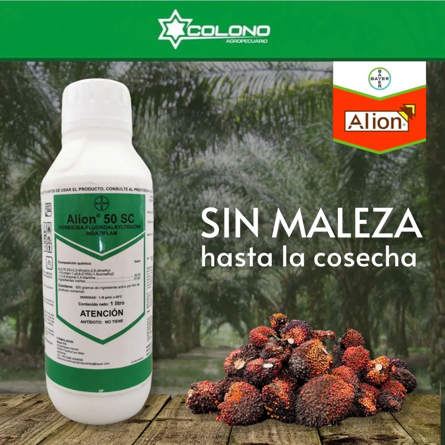 Colono Agropecuario Panamá - ALION 50 SC es un herbicida para el ...