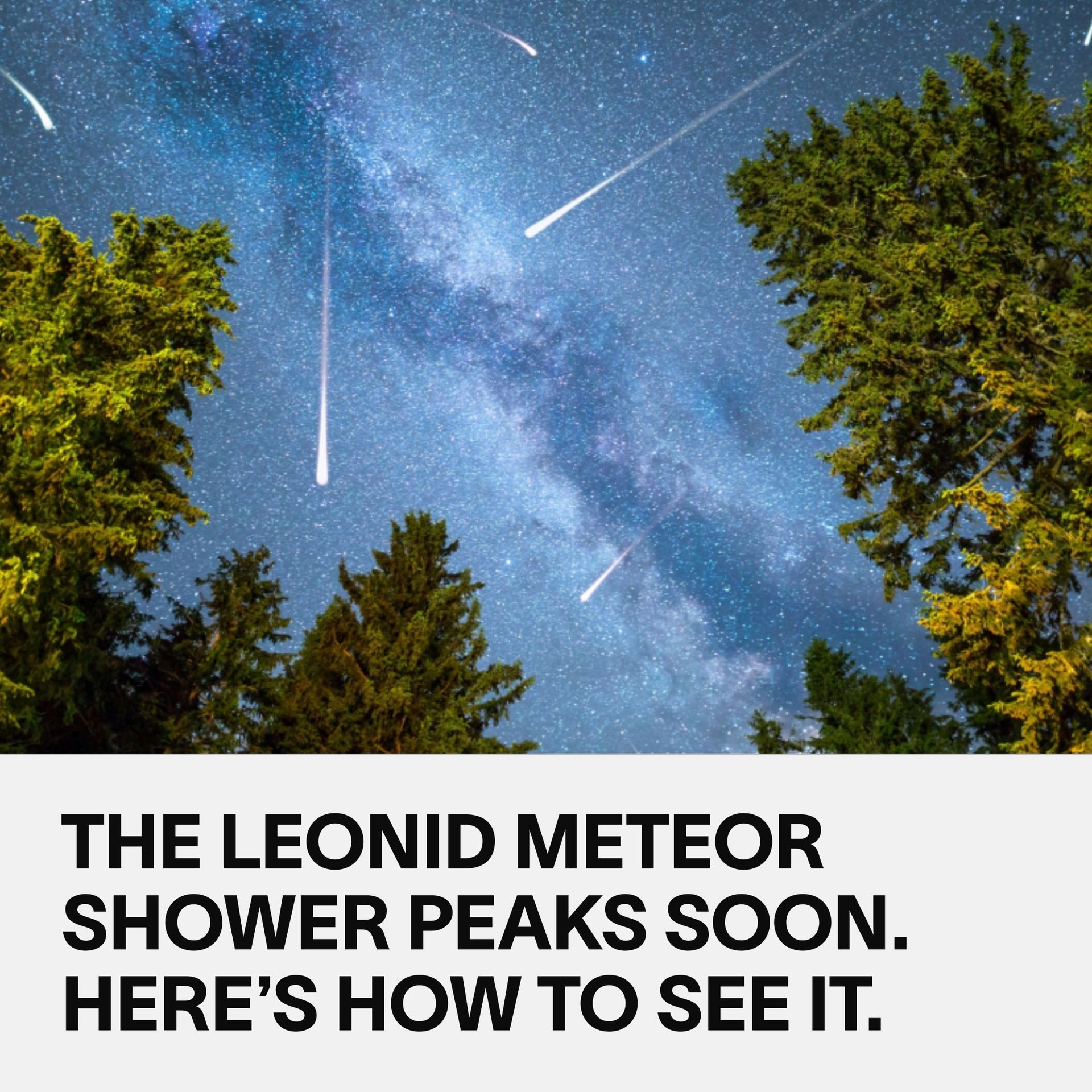 VICE - If you need a reason to stay up too late, this is it. The Leonid ...