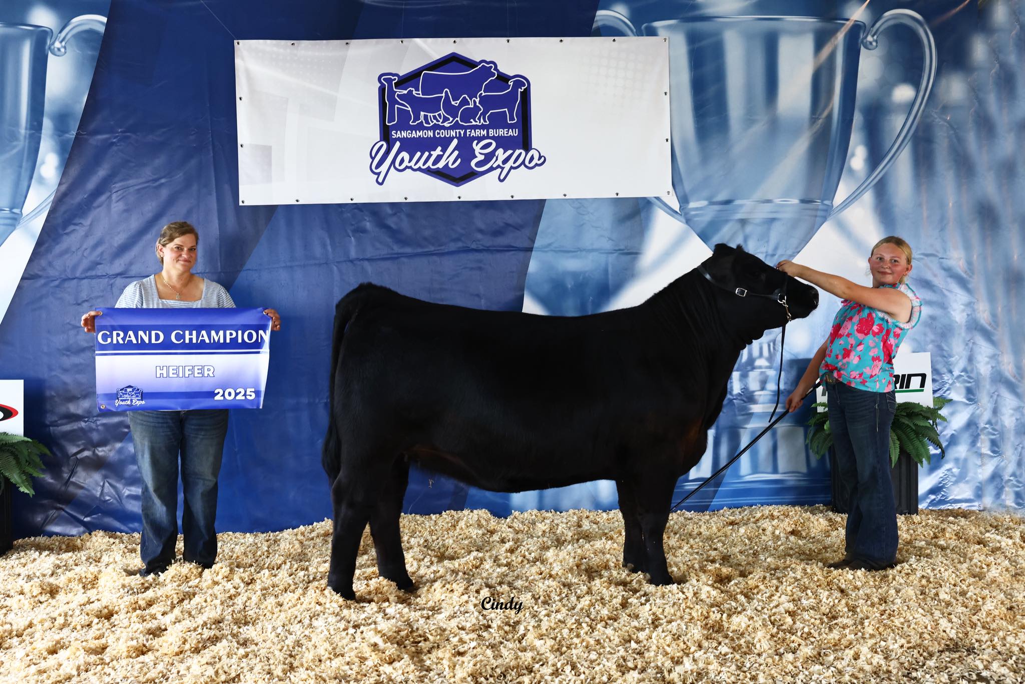 Rutledge - Congratulations to Lily Wilson and RF SFC PHYLLIS 2440 on ...