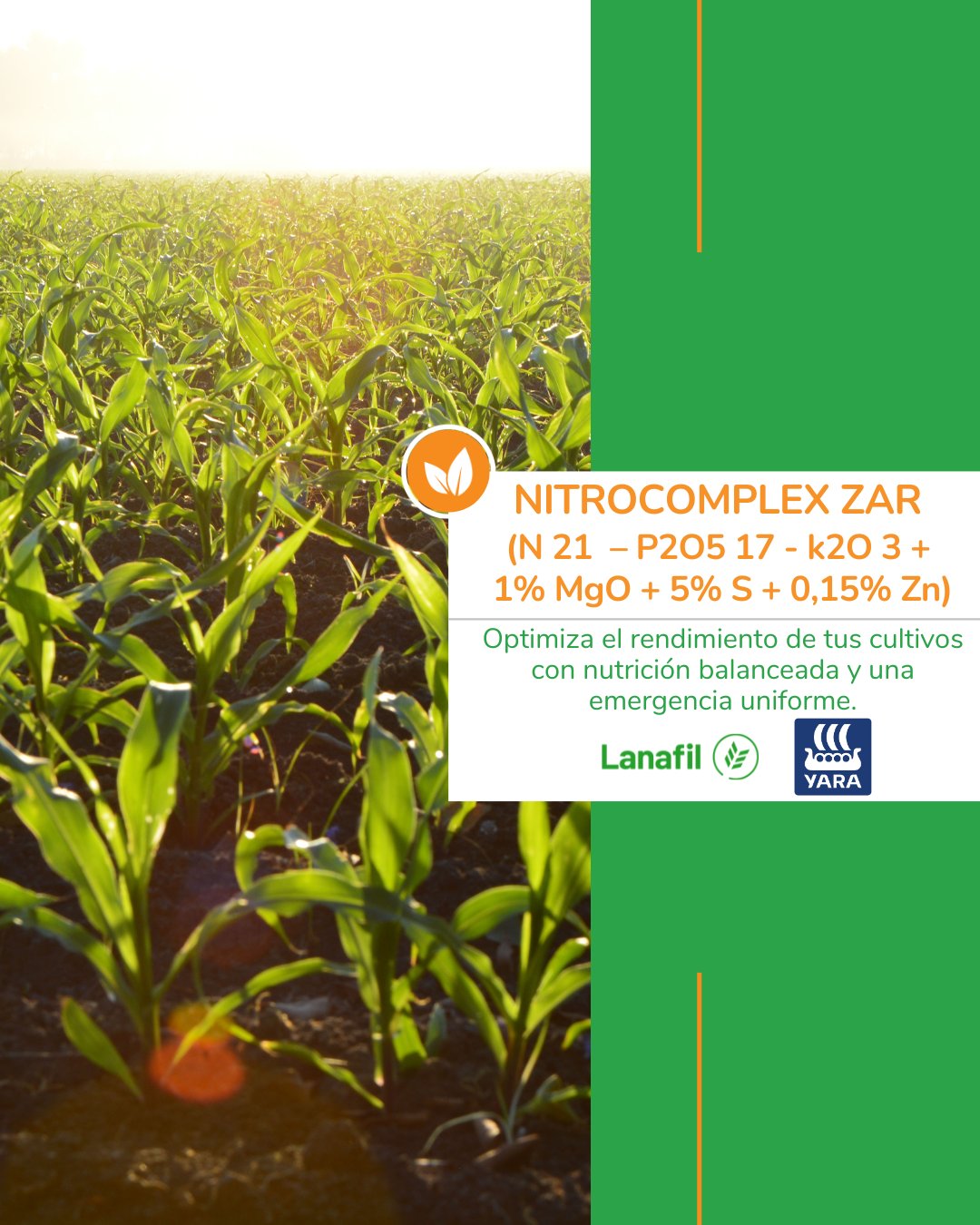 Lanafil - ¡Llega una nueva familia de fertilizantes Yara! Nitrocomplex ...