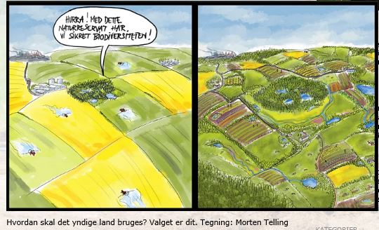 sybille-kyed-en-vigtig-detalje-i-kv-lstofaftalen-er-g-et-facebook