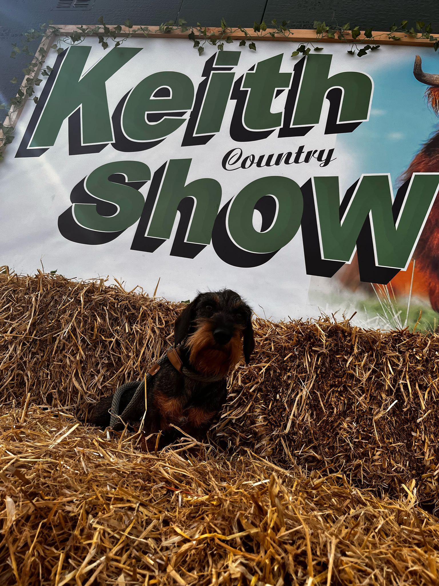 Keith - 🐶🐕🐾 Dog Show Starts at 11am 🐶🐕🐾 | Facebook