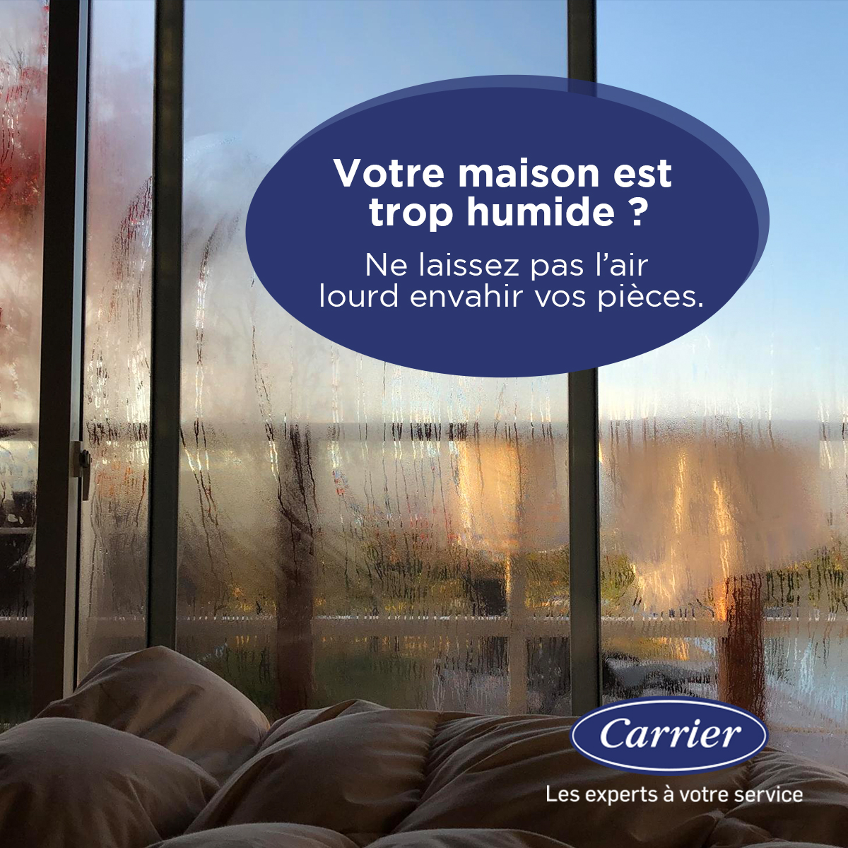 Carrier - 💧 Votre maison est trop humide ? Ne laissez pas l’air lourd ...