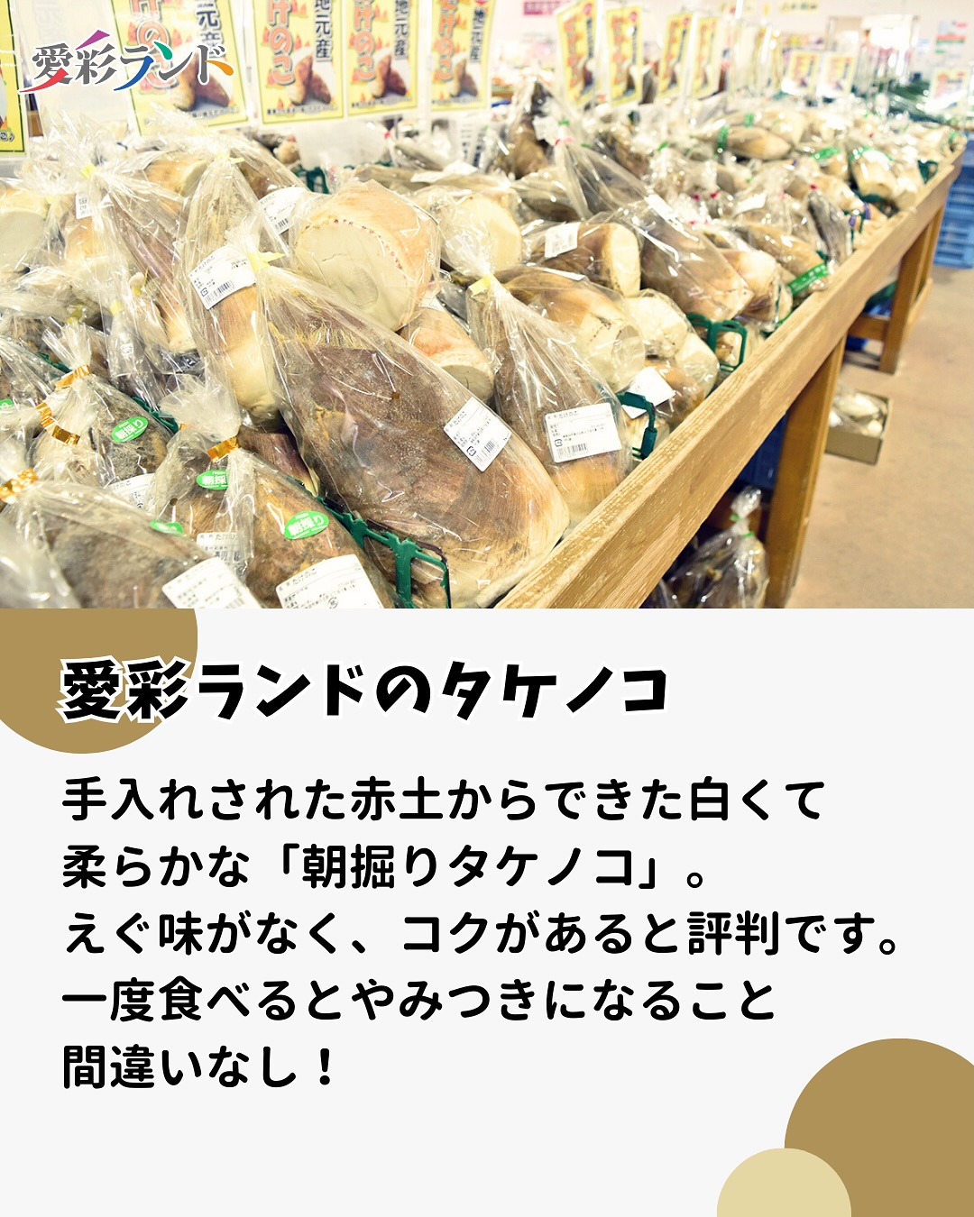 今年のタケノコは例年より遅れていてまだ少なめですが、これから徐々に