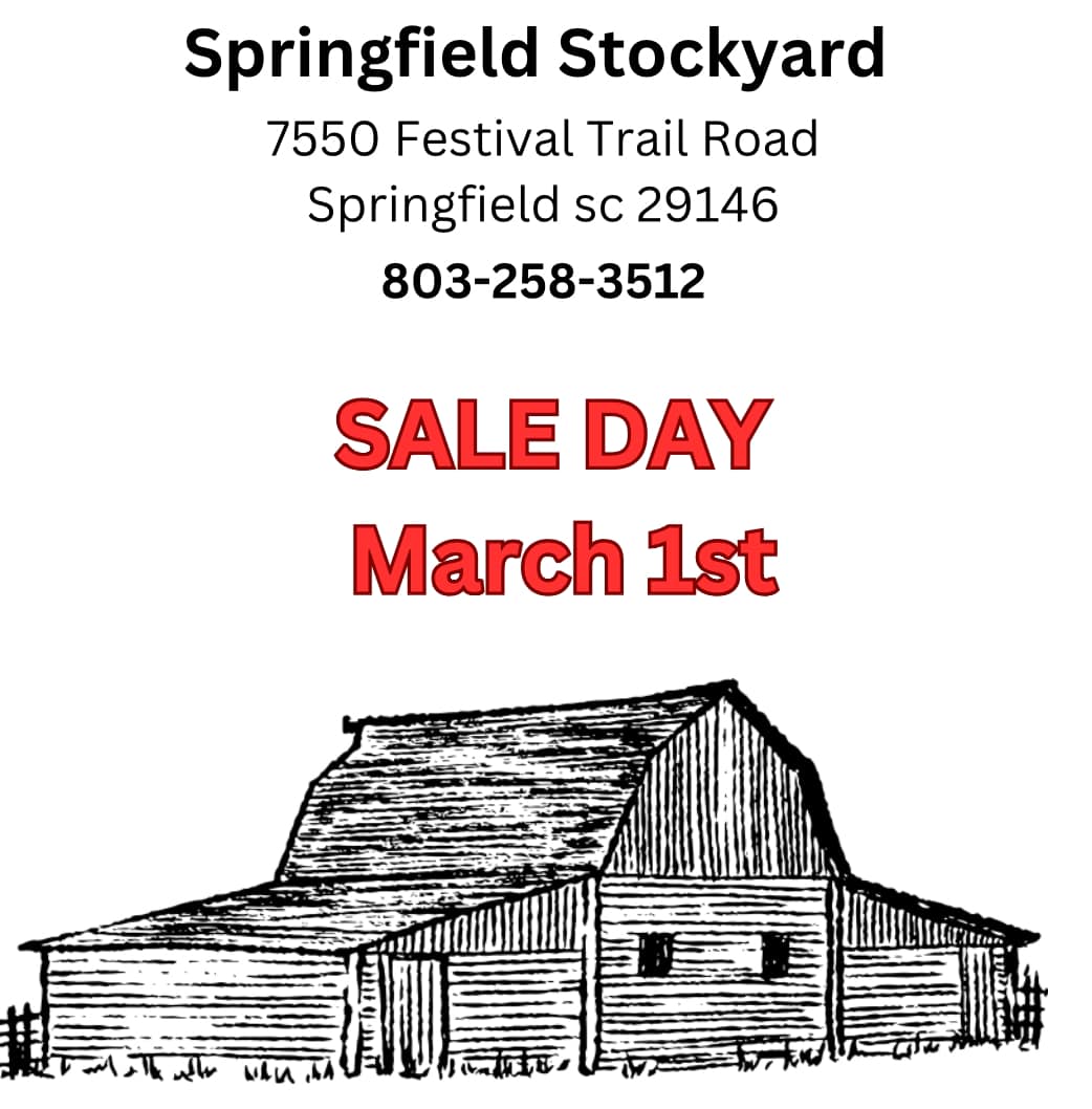 Springfield Stockyard | Springfield SC