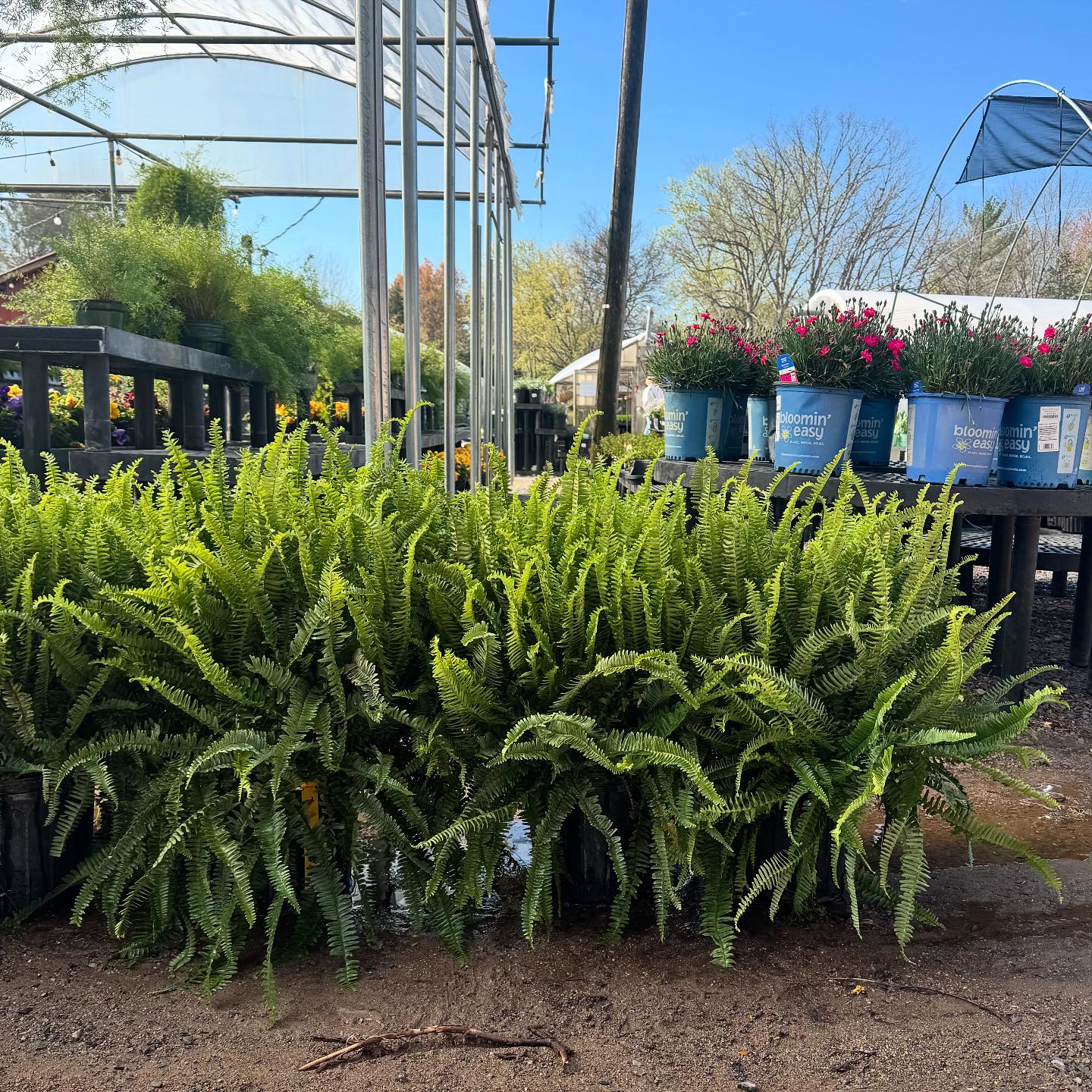 Hewitt Garden and Design Center | Franklin TN