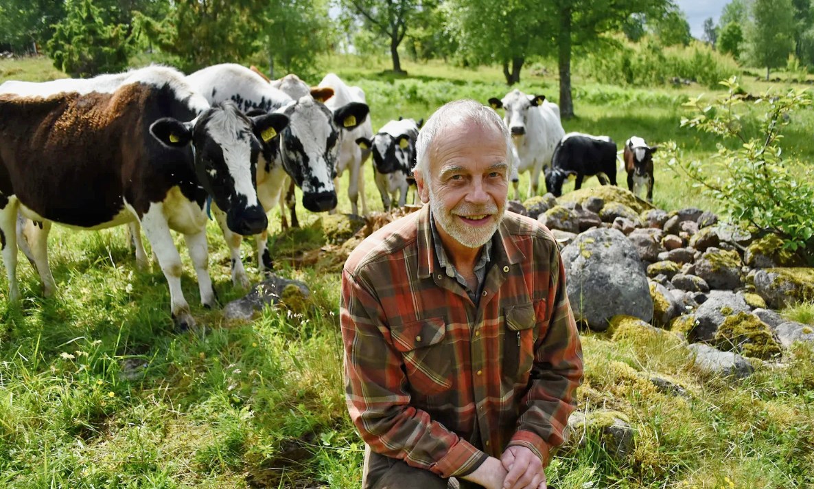 KRAV - Här hittar du KRAV-märkta produkter för de juliga helgerna i ...