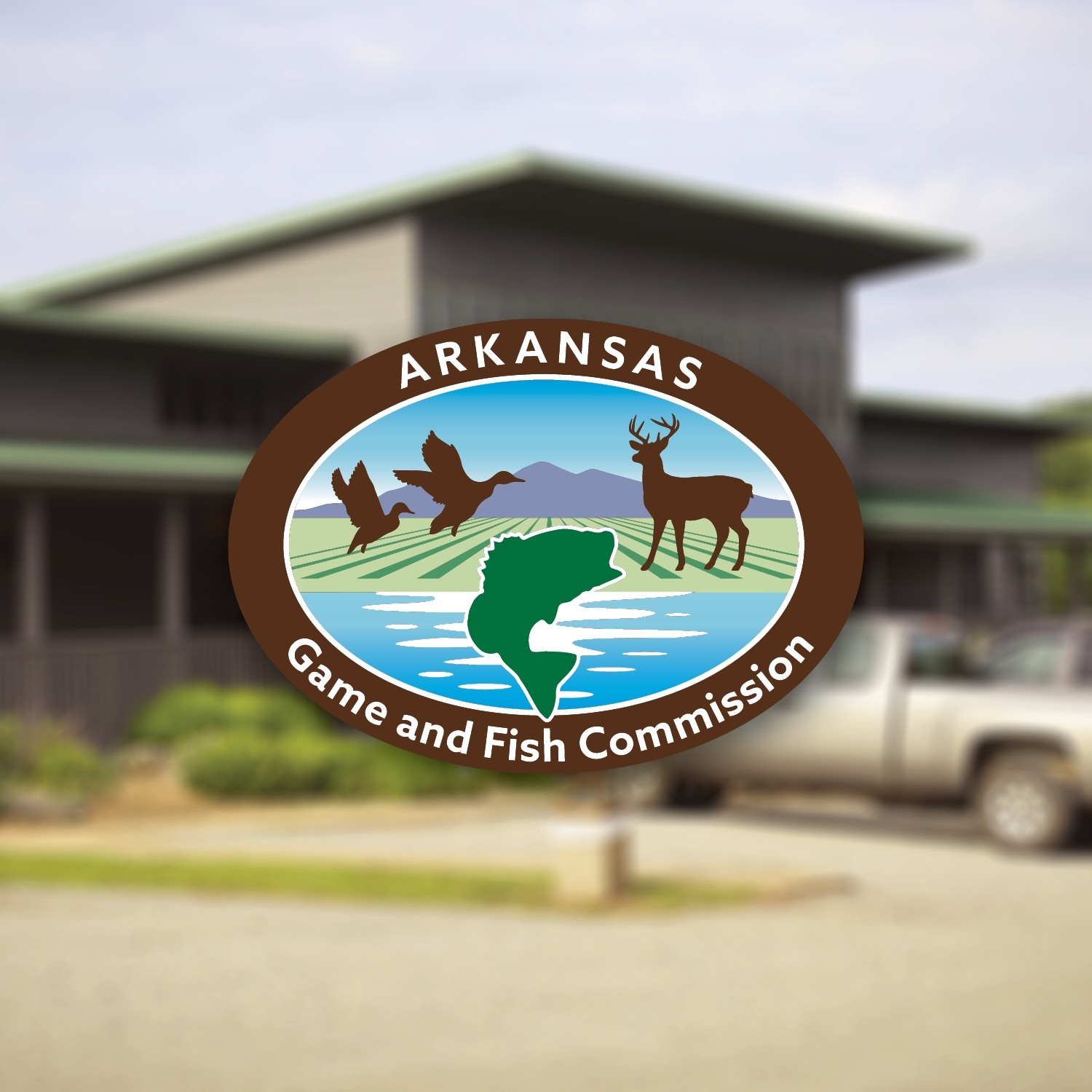 Marion County, AR Online Yard Sale | Looking for a few catfish for a ...