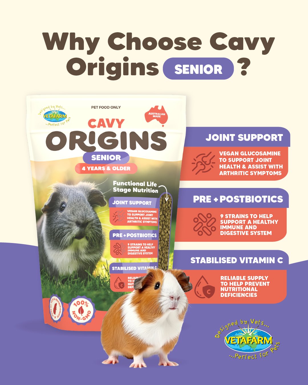 Curated visual reference: Cavy Digestive Health And Diet Reference: Erskine Pets