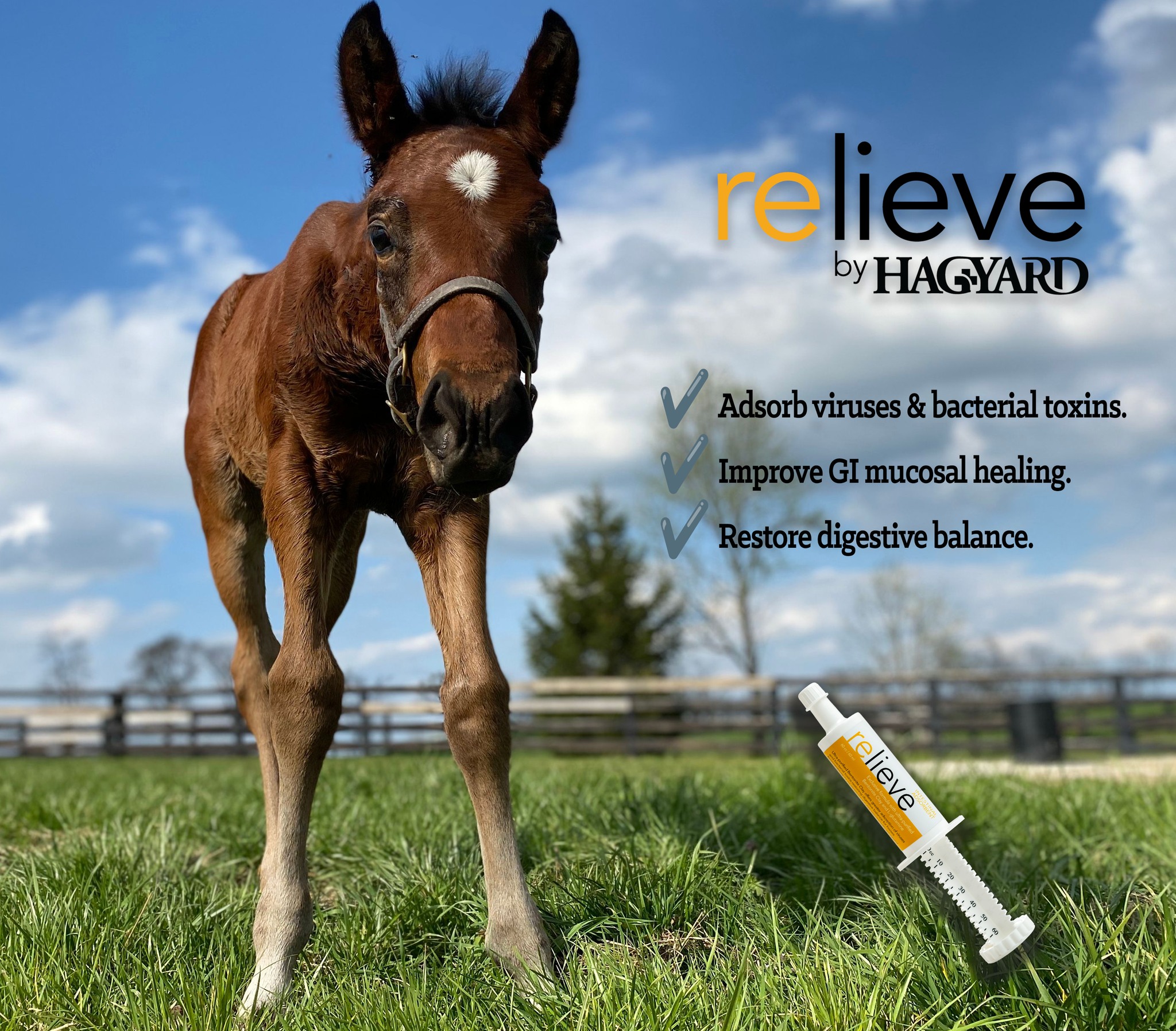 Resolvet by Hagyard